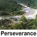 perseverance quotes